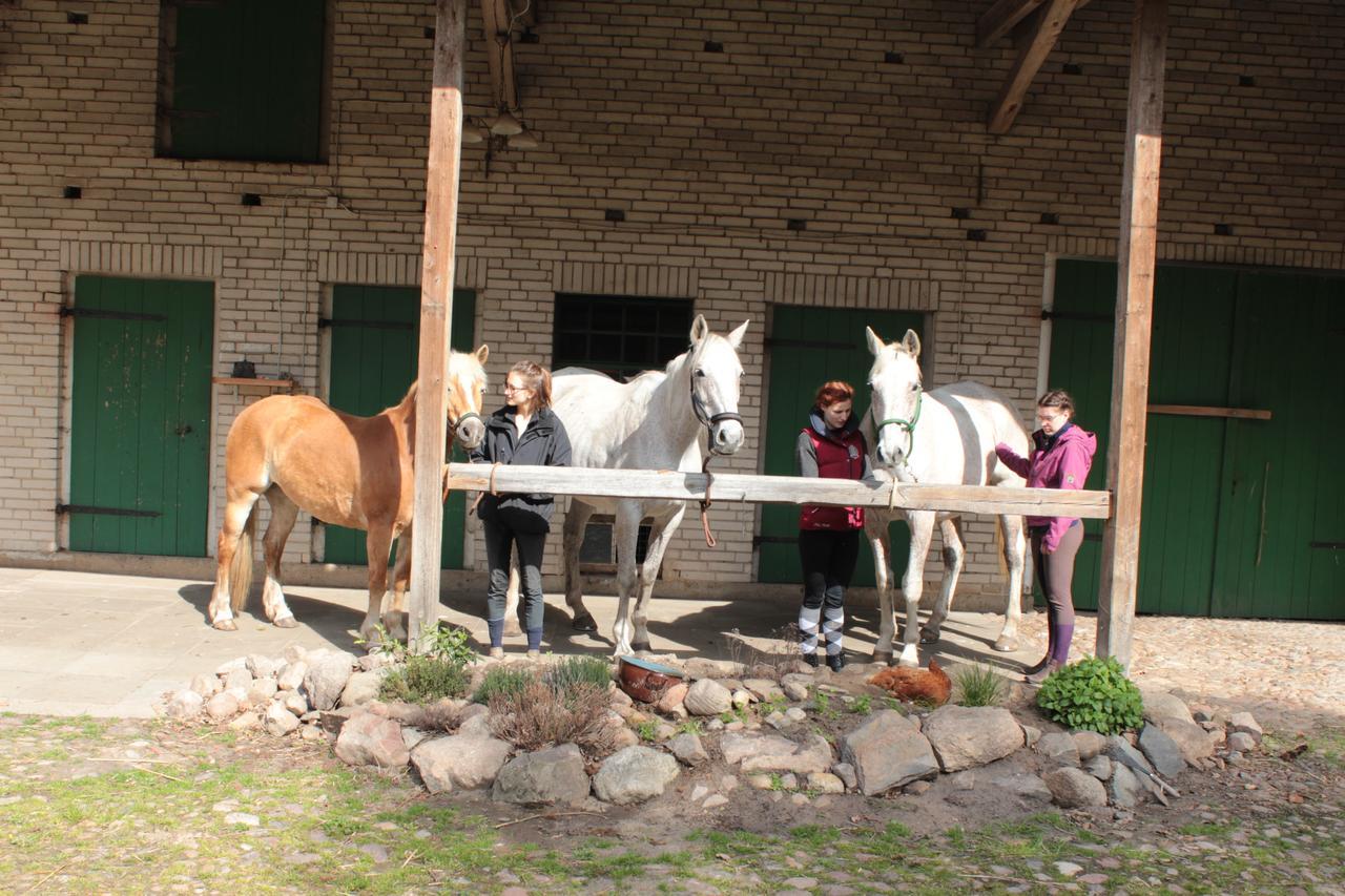 Gaestehaus Tobringen 20 ภายนอก รูปภาพ
